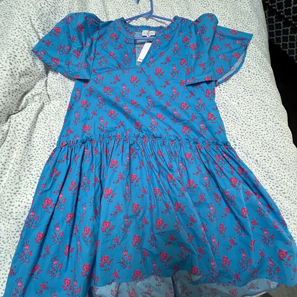 Sugarlips Blue Floral Dress with Pink Roses